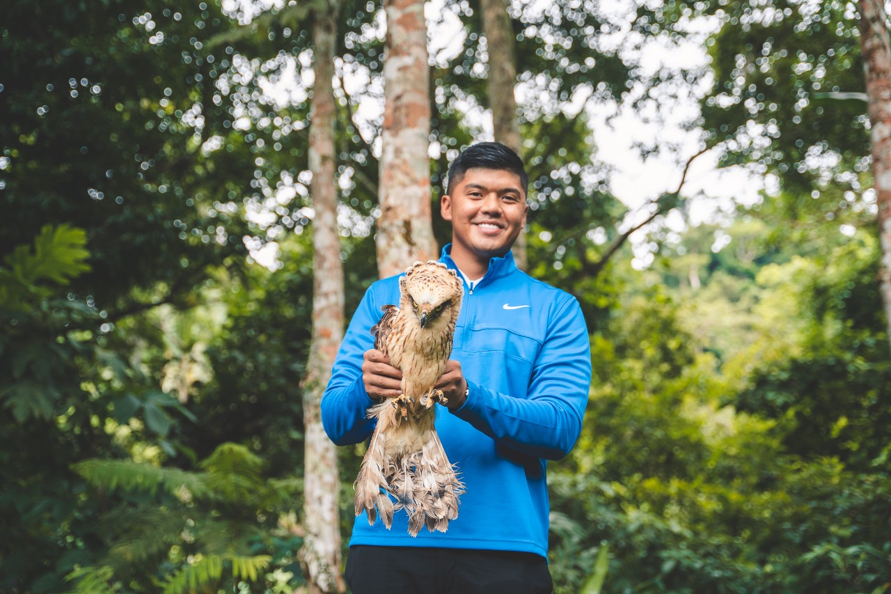 DENR, PLGU CamSur release rescued Philippine Serpent Eagle &ldquo;Louie&rdquo; at Mt. Isarog Natural Park 